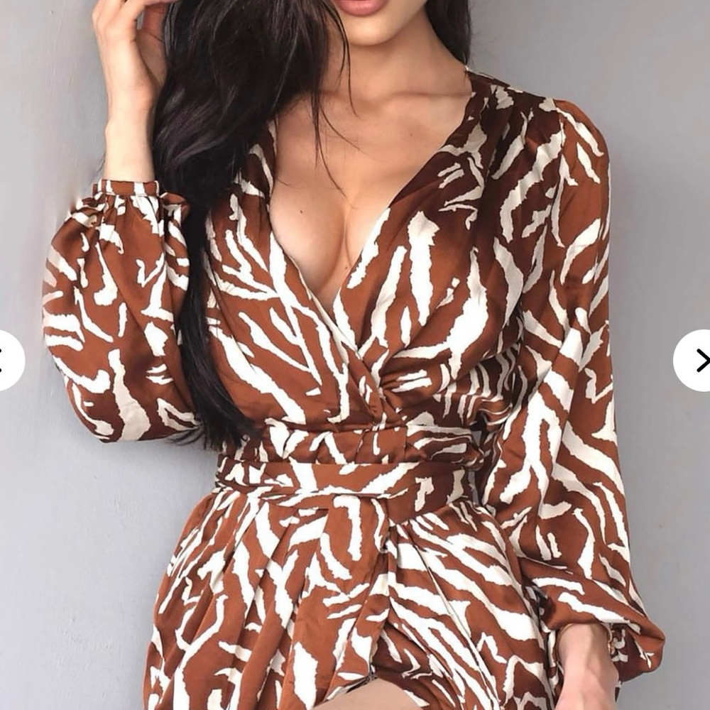 NWT Fashion Nova Zebra Print Long Sleeve Dress she’s an animal mini dress